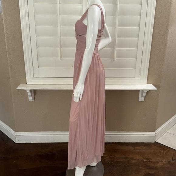 Birdy Grey Elsye Dress Mesh Dusty Rose - Picture 7 of 12